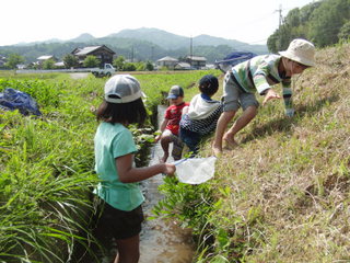 田んぼの学校